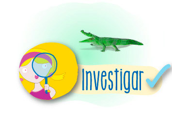 Investigar